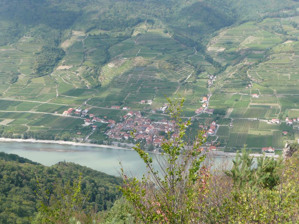 Weingut Langmayer Apartment Wosendorf in der Wachau Ngoại thất bức ảnh