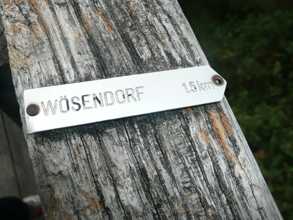Weingut Langmayer Wosendorf in der Wachau Ngoại thất bức ảnh