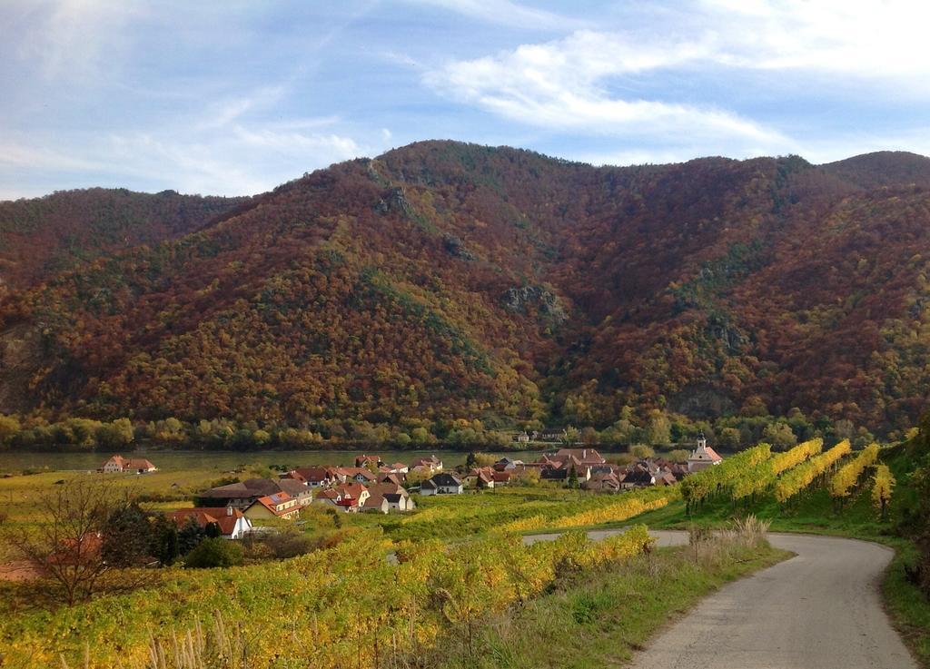 Weingut Langmayer Apartment Wosendorf in der Wachau Ngoại thất bức ảnh