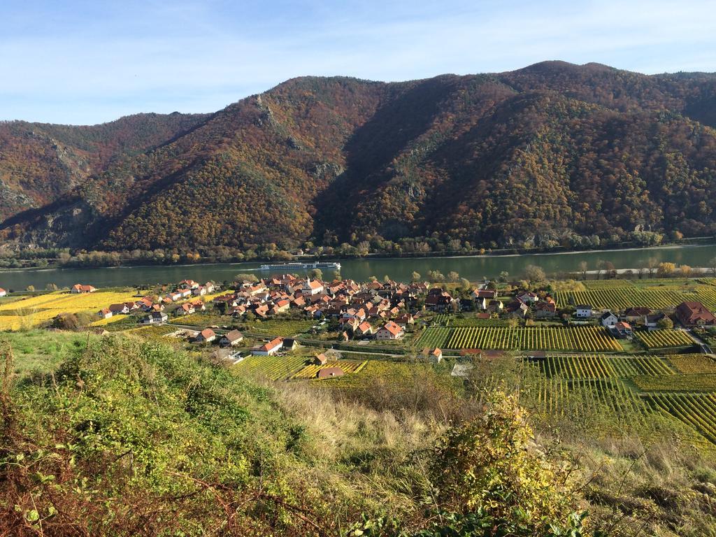 Weingut Langmayer Wosendorf in der Wachau Ngoại thất bức ảnh